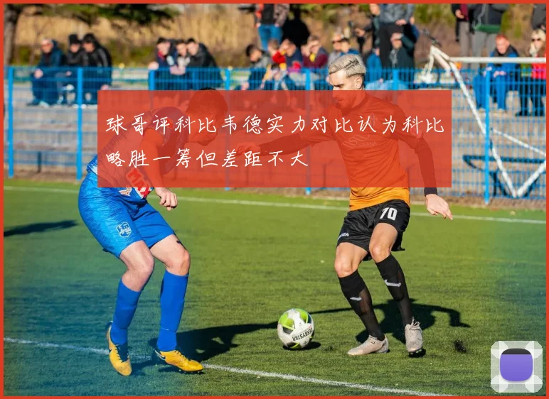 球哥评科比韦德实力对比认为科比略胜一筹但差距不大