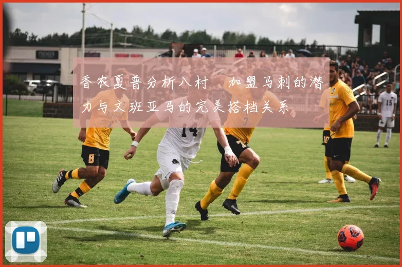 香农夏普分析八村塁加盟马刺的潜力与文班亚马的完美搭档关系