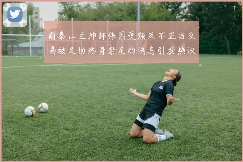 前泰山主帅郝伟因受贿及不正当交易被足协终身禁足的消息引发热议